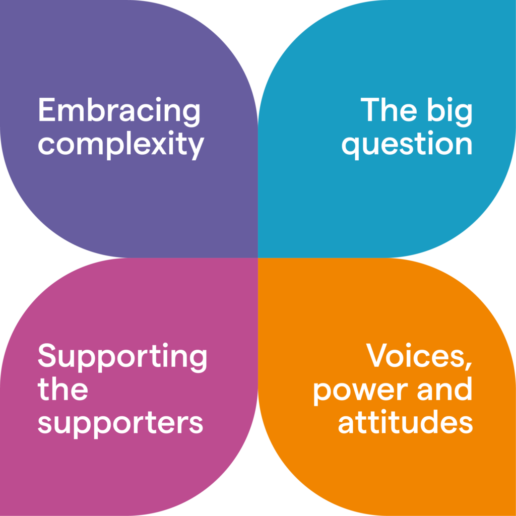 Image shows four petals. From top left clockwise: purple petal says "Embracing Complexity". Blue petal says "The big question". Orange petal says "Voices, power & attitudes". Pink petal says "Supporting the supporters".